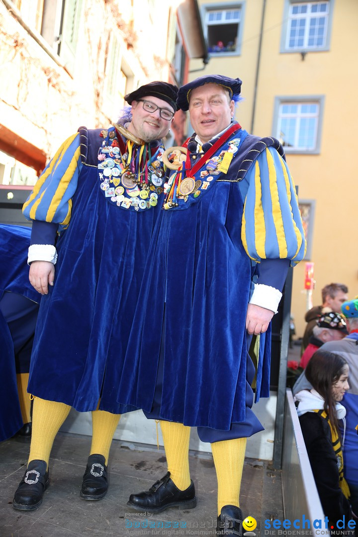 Fasnetsumzug mit Narrenbaumstellen: Meersburg am Bodensee, 24.02.2019