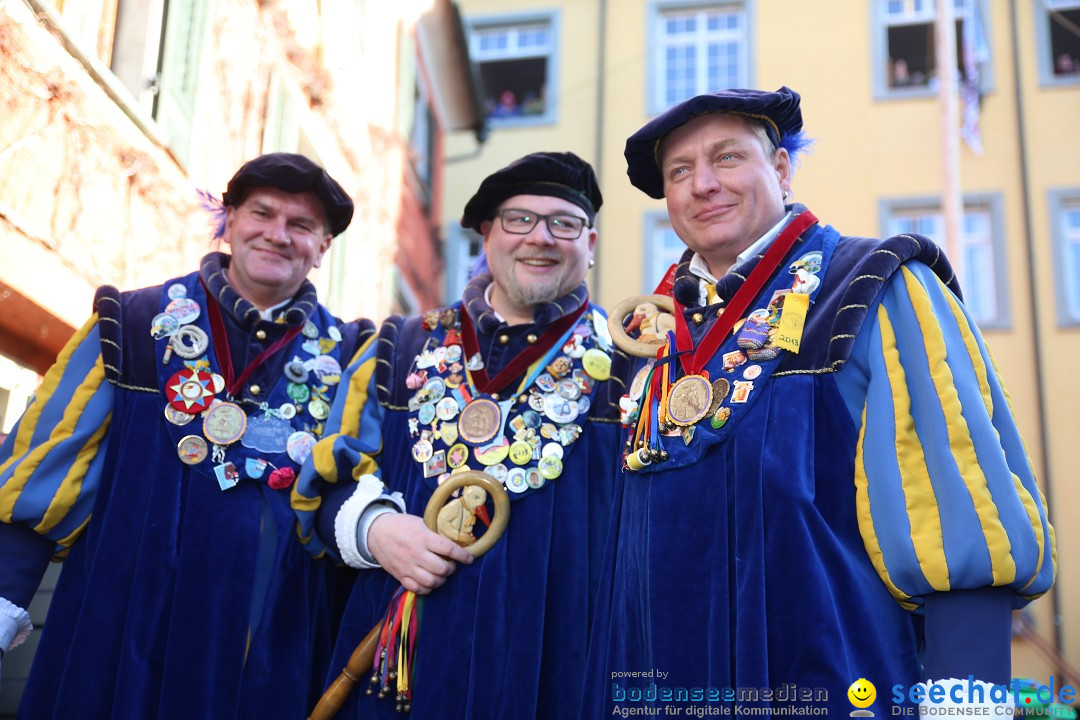 Fasnetsumzug mit Narrenbaumstellen: Meersburg am Bodensee, 24.02.2019