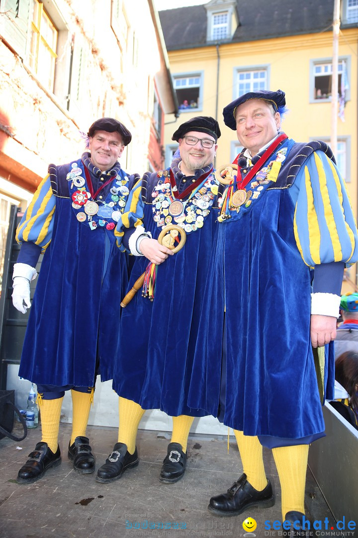 Fasnetsumzug mit Narrenbaumstellen: Meersburg am Bodensee, 24.02.2019