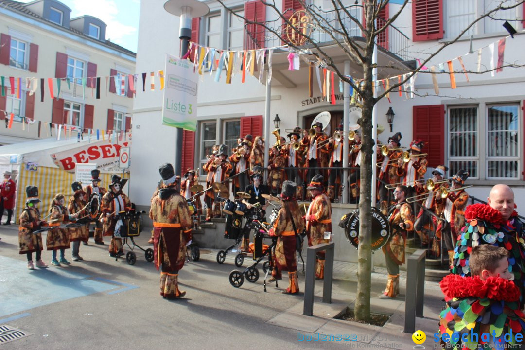 Fasnetsumzug - Fasching: Kreuzlingen am Bodensee, 24.02.2019