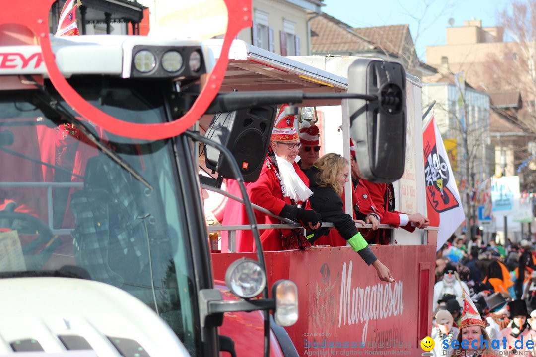 Fasnetsumzug - Fasching: Kreuzlingen am Bodensee, 24.02.2019