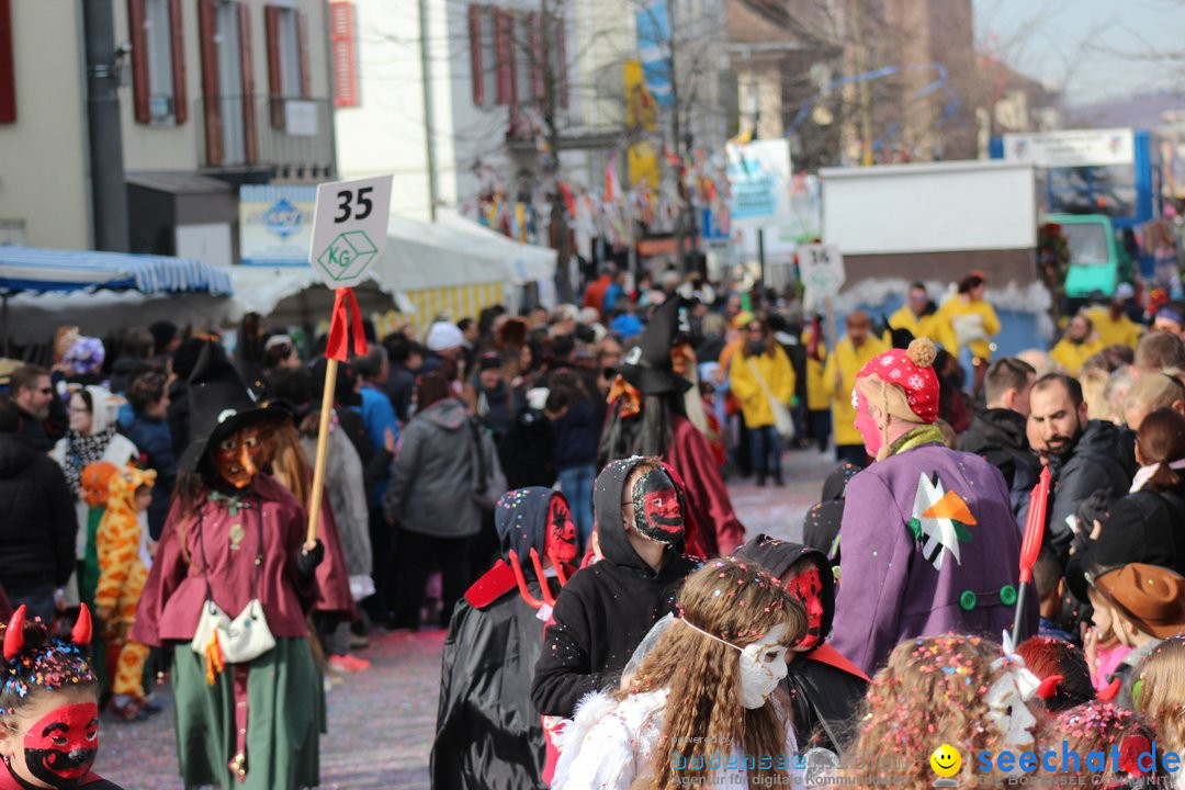 Fasnetsumzug - Fasching: Kreuzlingen am Bodensee, 24.02.2019