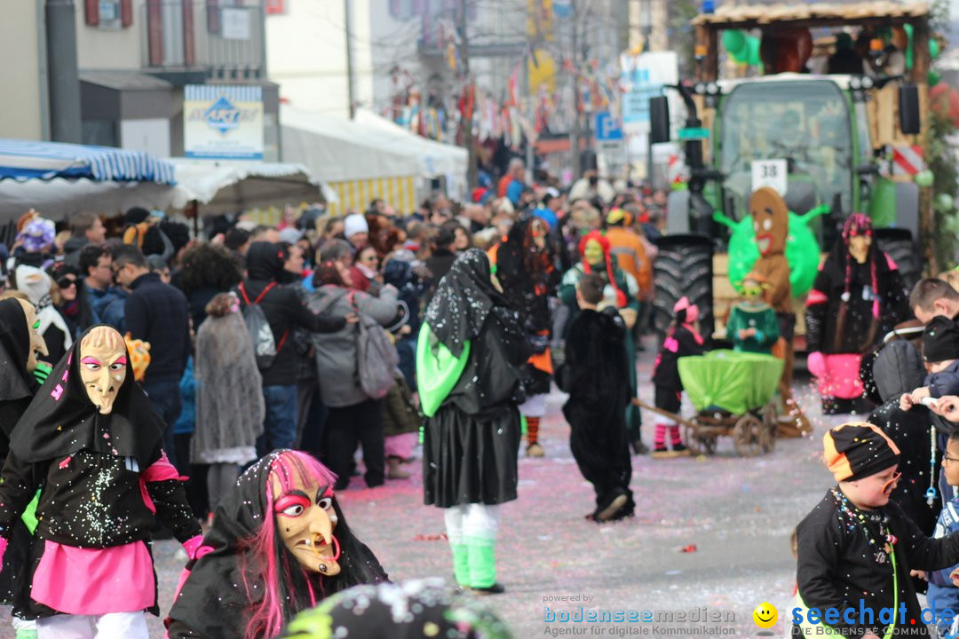 Fasnetsumzug - Fasching: Kreuzlingen am Bodensee, 24.02.2019