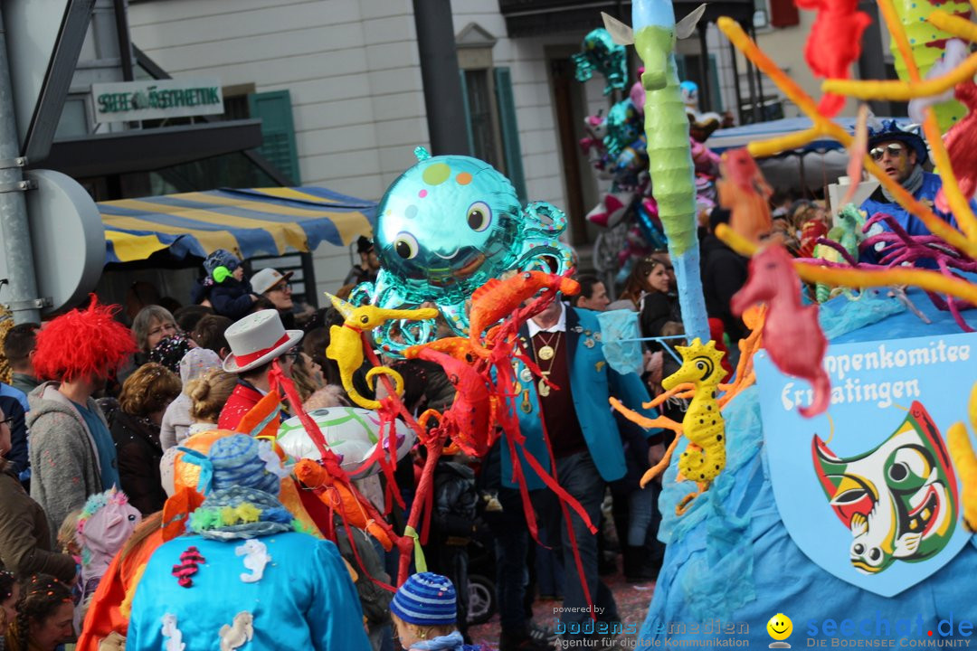 Fasnetsumzug - Fasching: Kreuzlingen am Bodensee, 24.02.2019