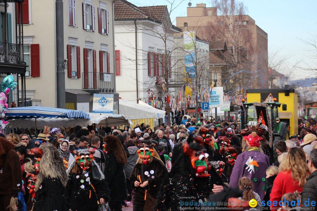 Fasnetsumzug - Fasching: Kreuzlingen am Bodensee, 24.02.2019