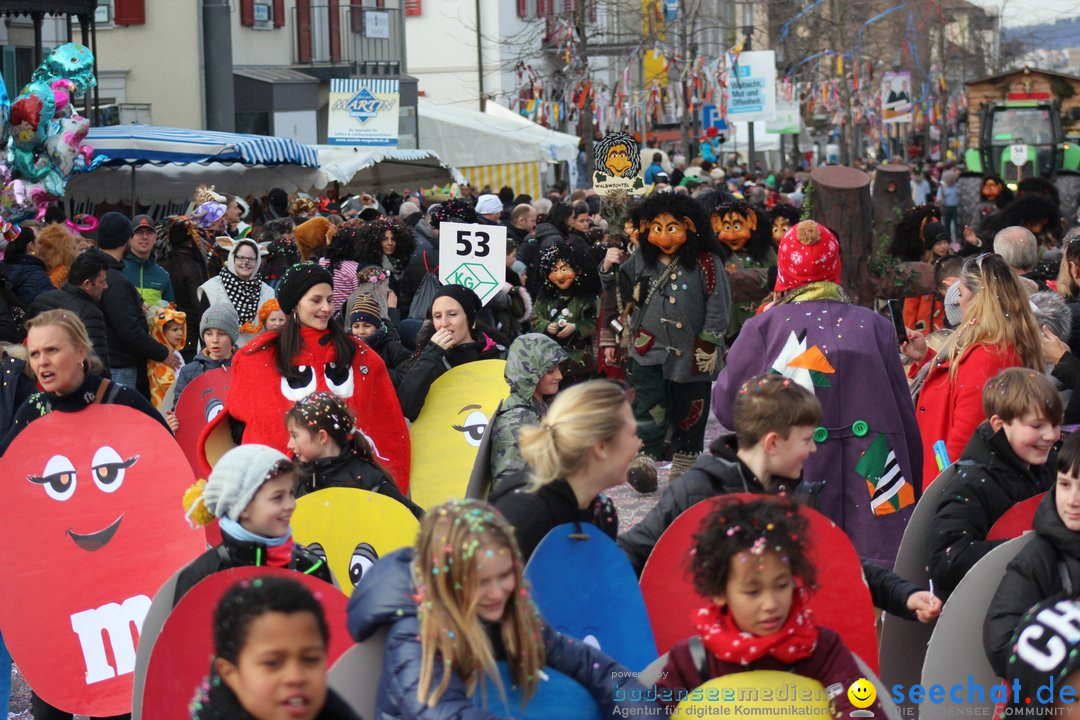 Fasnetsumzug - Fasching: Kreuzlingen am Bodensee, 24.02.2019