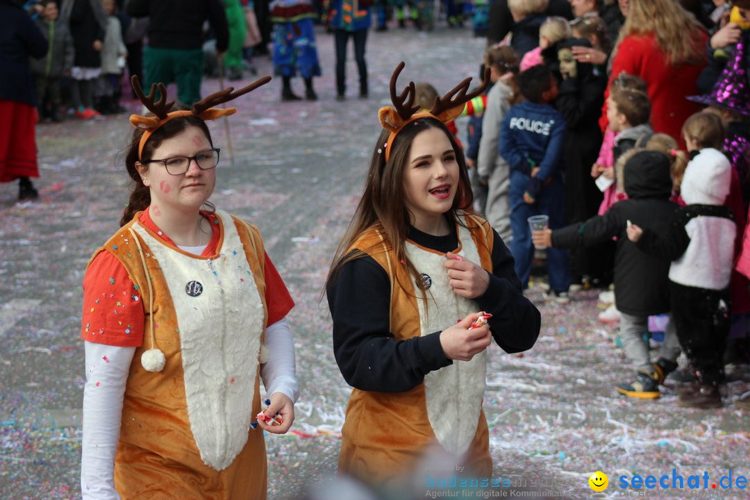 Fasnetsumzug - Fasching: Kreuzlingen am Bodensee, 24.02.2019