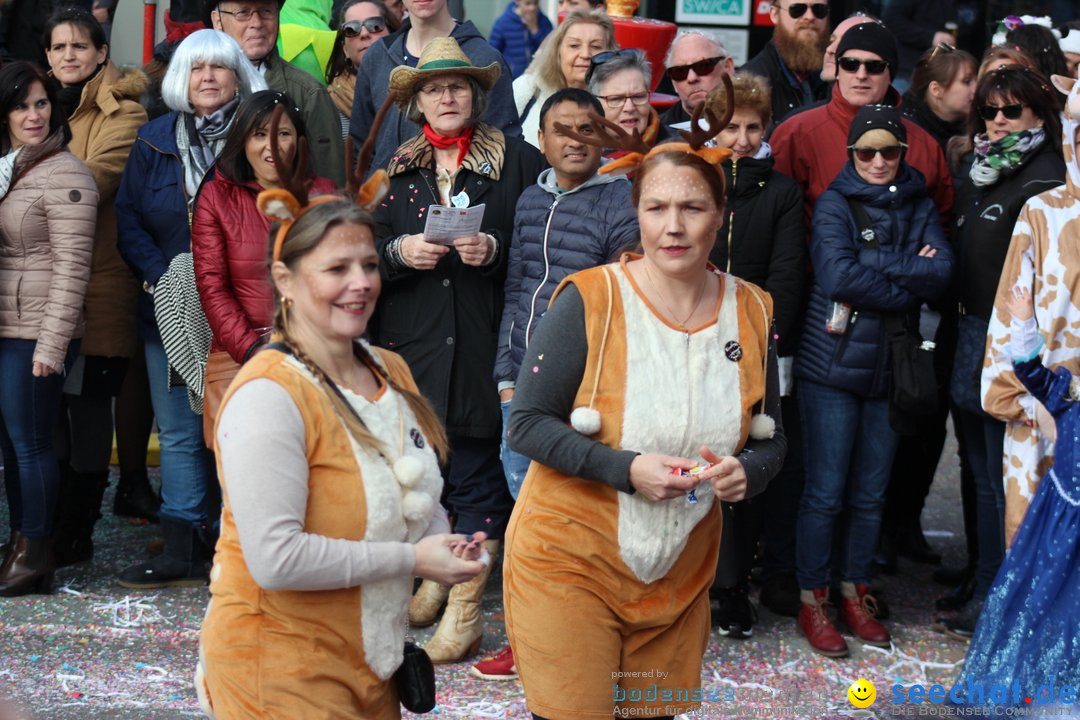 Fasnetsumzug - Fasching: Kreuzlingen am Bodensee, 24.02.2019