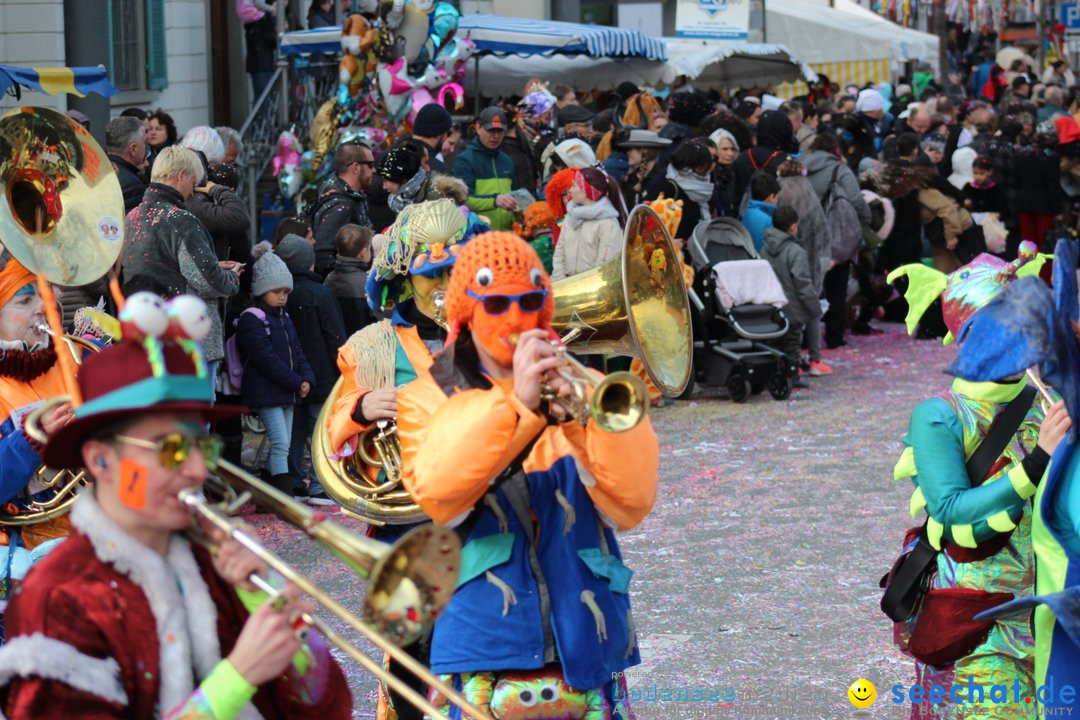 Fasnetsumzug - Fasching: Kreuzlingen am Bodensee, 24.02.2019