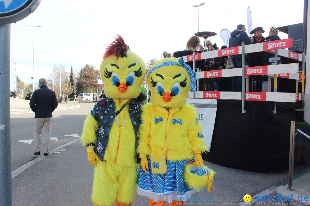 Fasnetsumzug - Fasching: Kreuzlingen am Bodensee, 24.02.2019