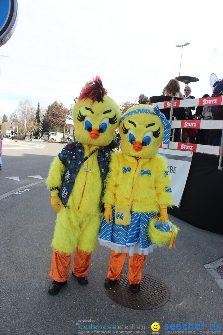 Fasnetsumzug - Fasching: Kreuzlingen am Bodensee, 24.02.2019