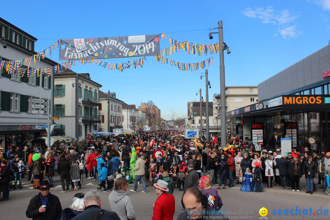 Fasnetsumzug - Fasching: Kreuzlingen am Bodensee, 24.02.2019