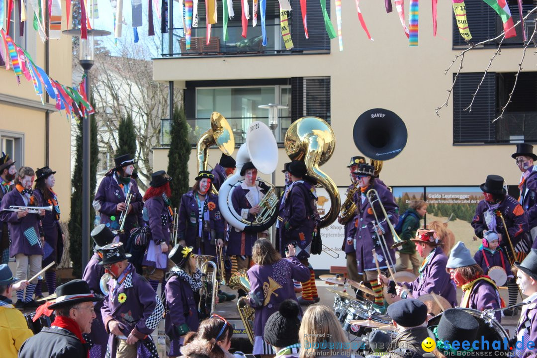 Fasnetsumzug - Fasching: Kreuzlingen am Bodensee, 24.02.2019