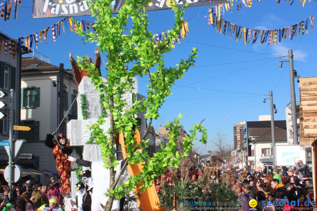 Fasnetsumzug - Fasching: Kreuzlingen am Bodensee, 24.02.2019