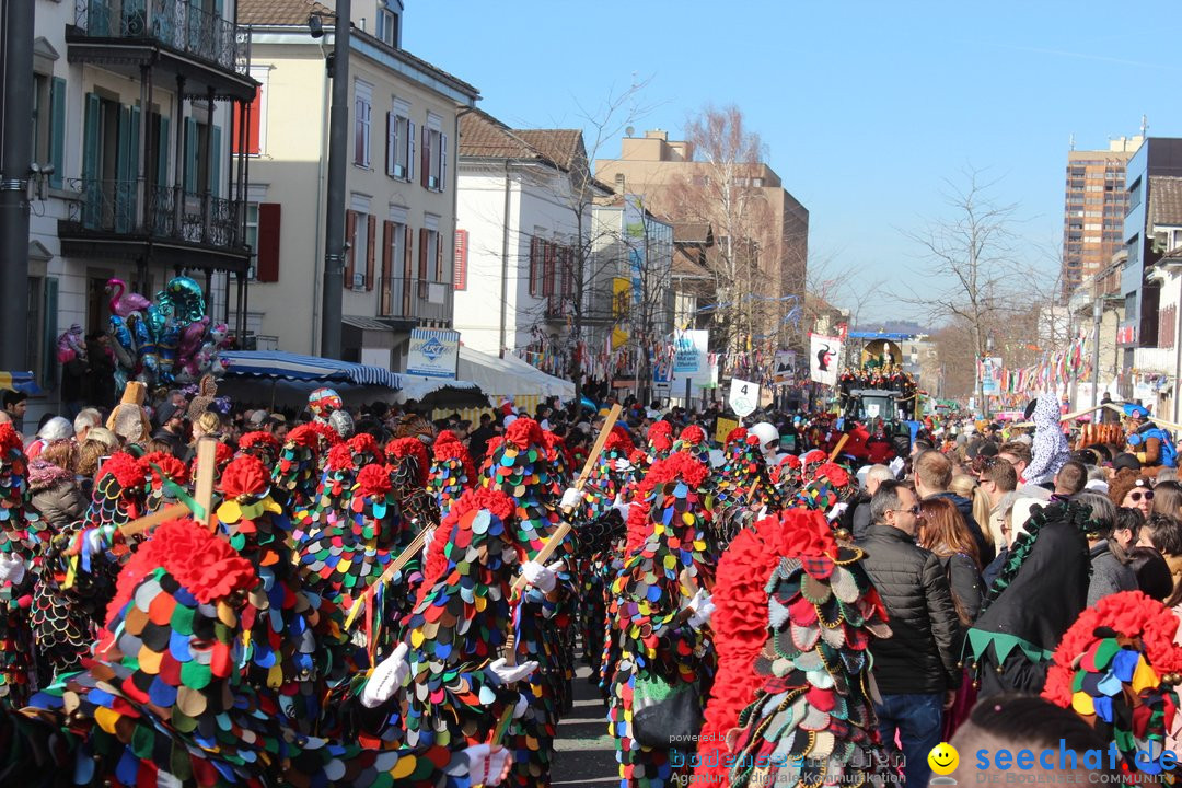 Fasnetsumzug - Fasching: Kreuzlingen am Bodensee, 24.02.2019