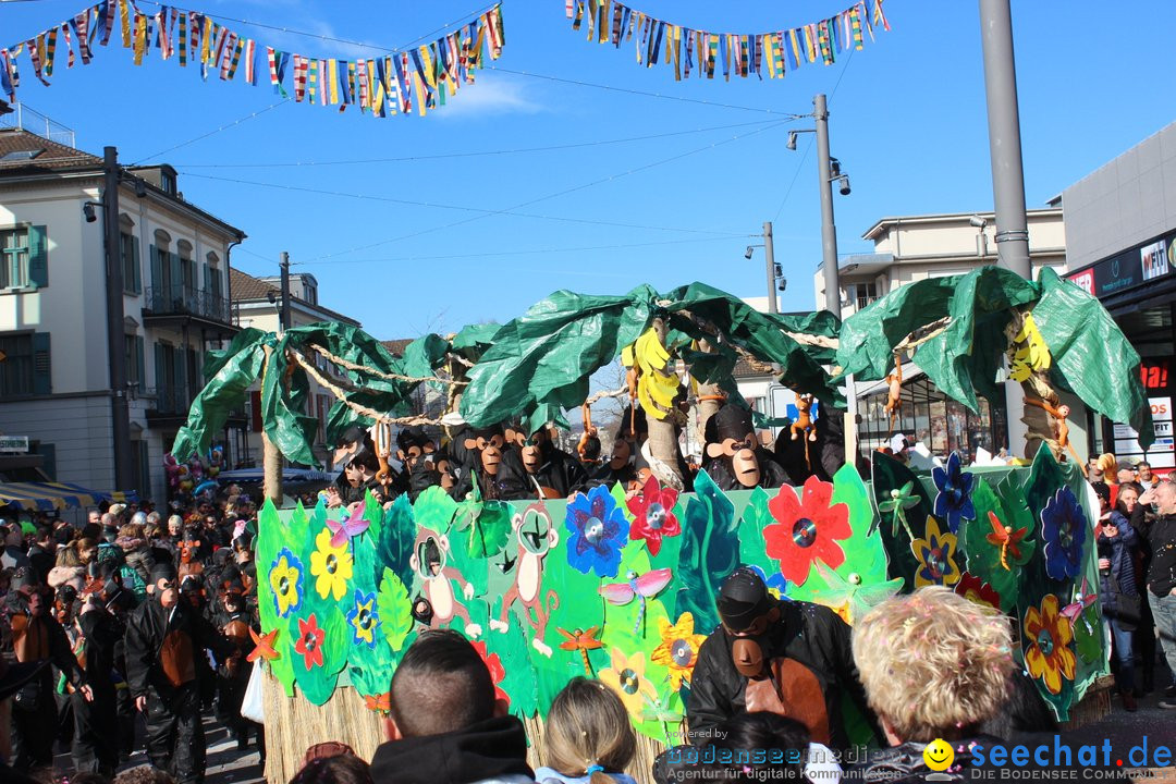 Fasnetsumzug - Fasching: Kreuzlingen am Bodensee, 24.02.2019