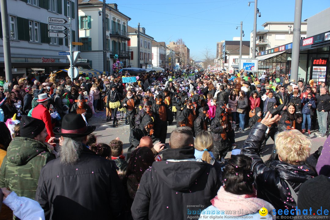 Fasnetsumzug - Fasching: Kreuzlingen am Bodensee, 24.02.2019