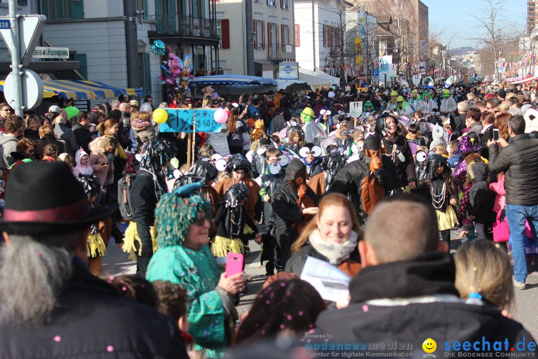 Fasnetsumzug - Fasching: Kreuzlingen am Bodensee, 24.02.2019