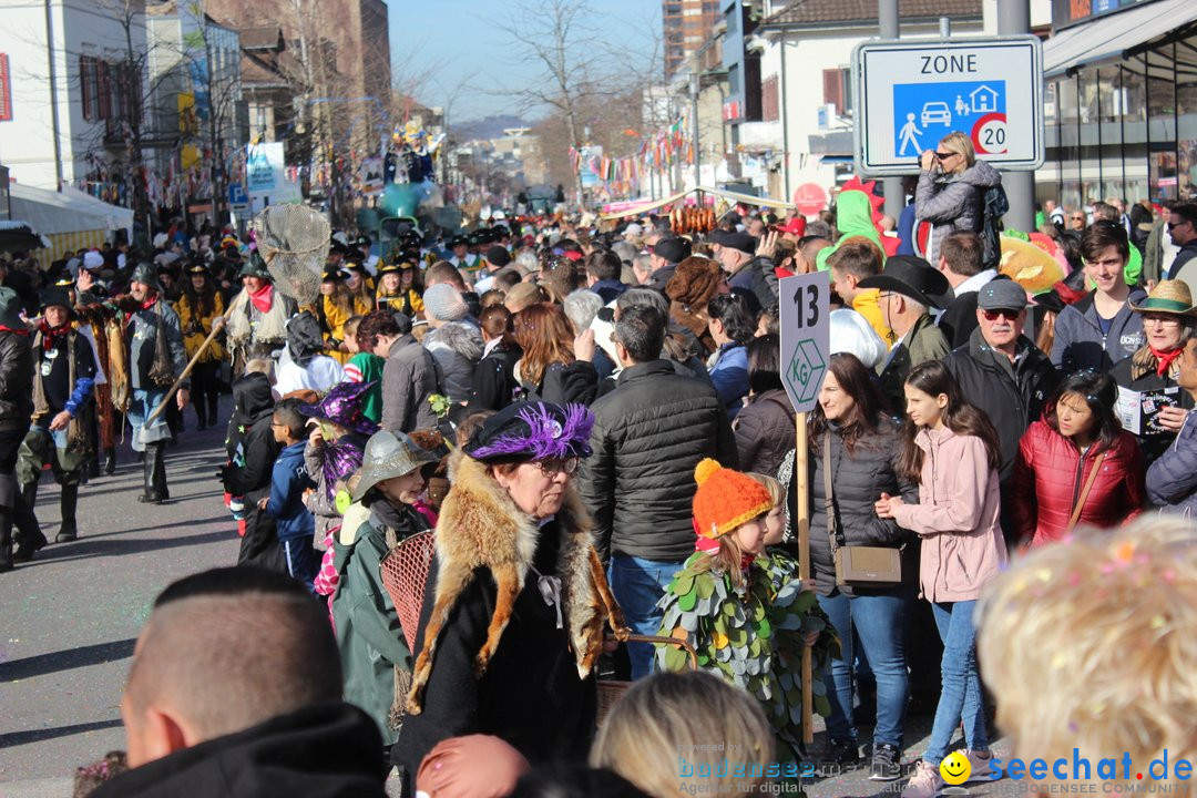 Fasnetsumzug - Fasching: Kreuzlingen am Bodensee, 24.02.2019