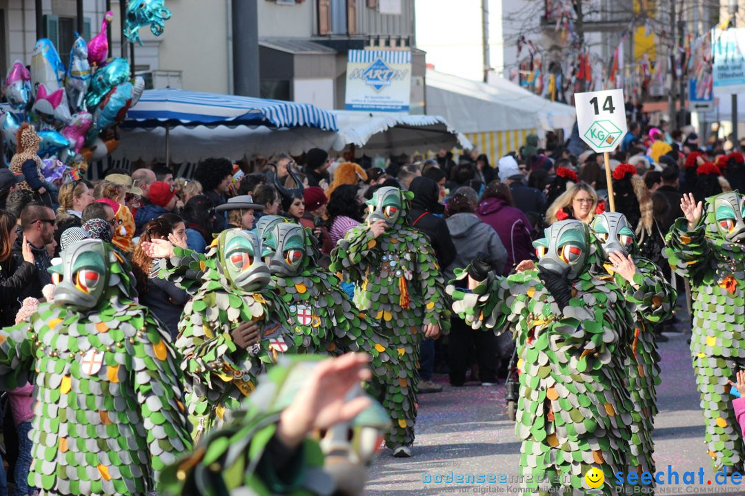 Fasnetsumzug - Fasching: Kreuzlingen am Bodensee, 24.02.2019