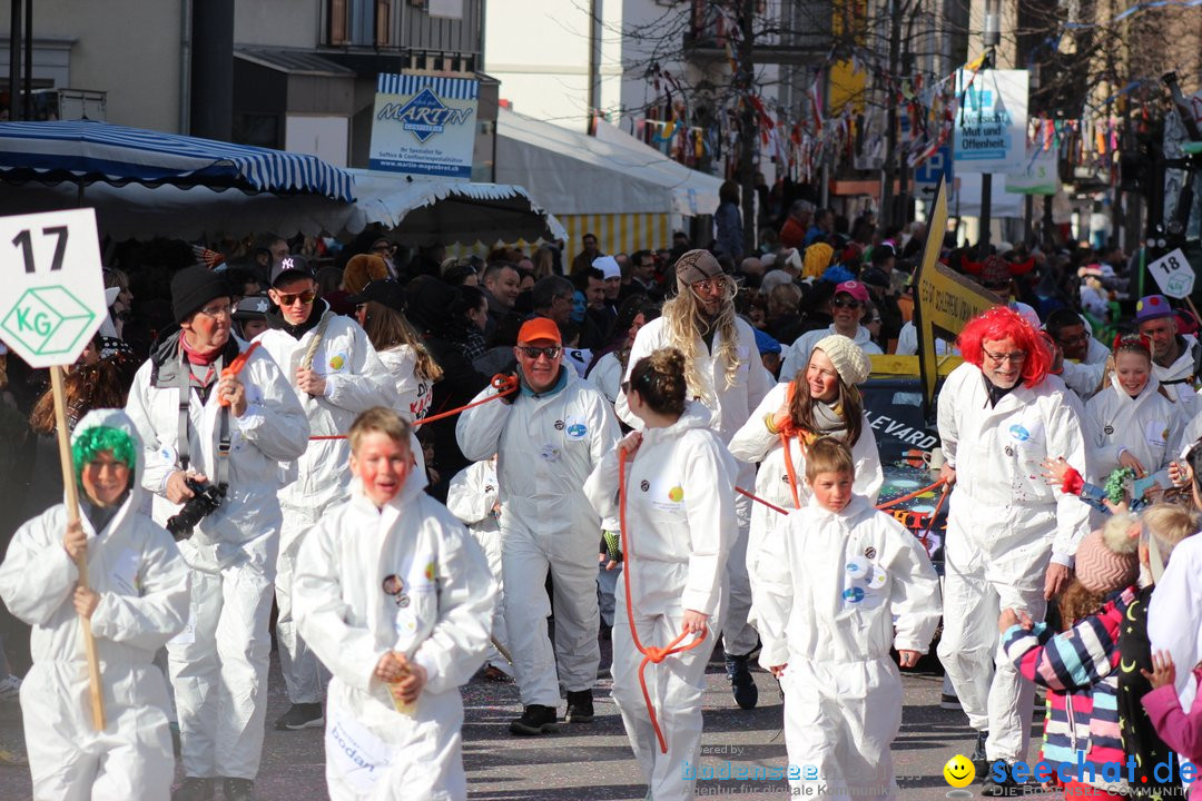 Fasnetsumzug - Fasching: Kreuzlingen am Bodensee, 24.02.2019