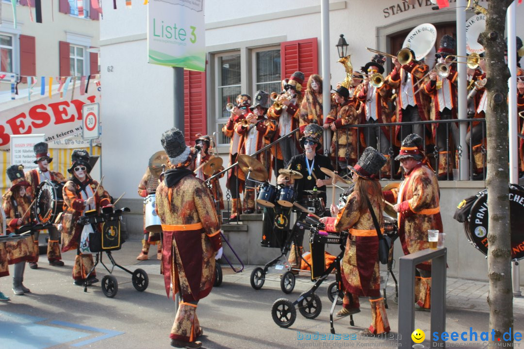 Fasnetsumzug - Fasching: Kreuzlingen am Bodensee, 24.02.2019