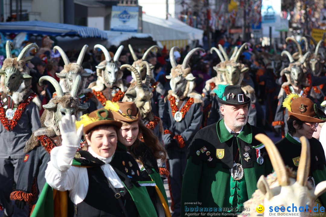 Fasnetsumzug - Fasching: Kreuzlingen am Bodensee, 24.02.2019