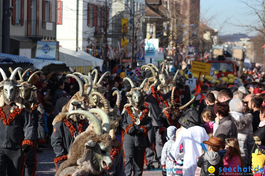 Fasnetsumzug - Fasching: Kreuzlingen am Bodensee, 24.02.2019