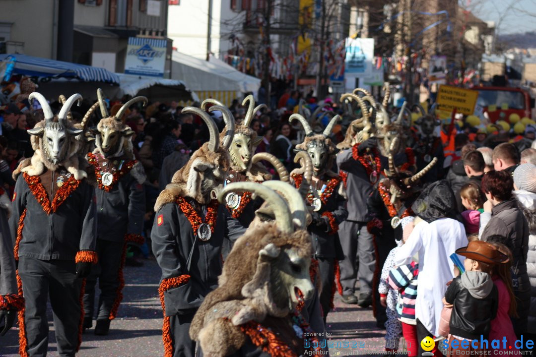 Fasnetsumzug - Fasching: Kreuzlingen am Bodensee, 24.02.2019