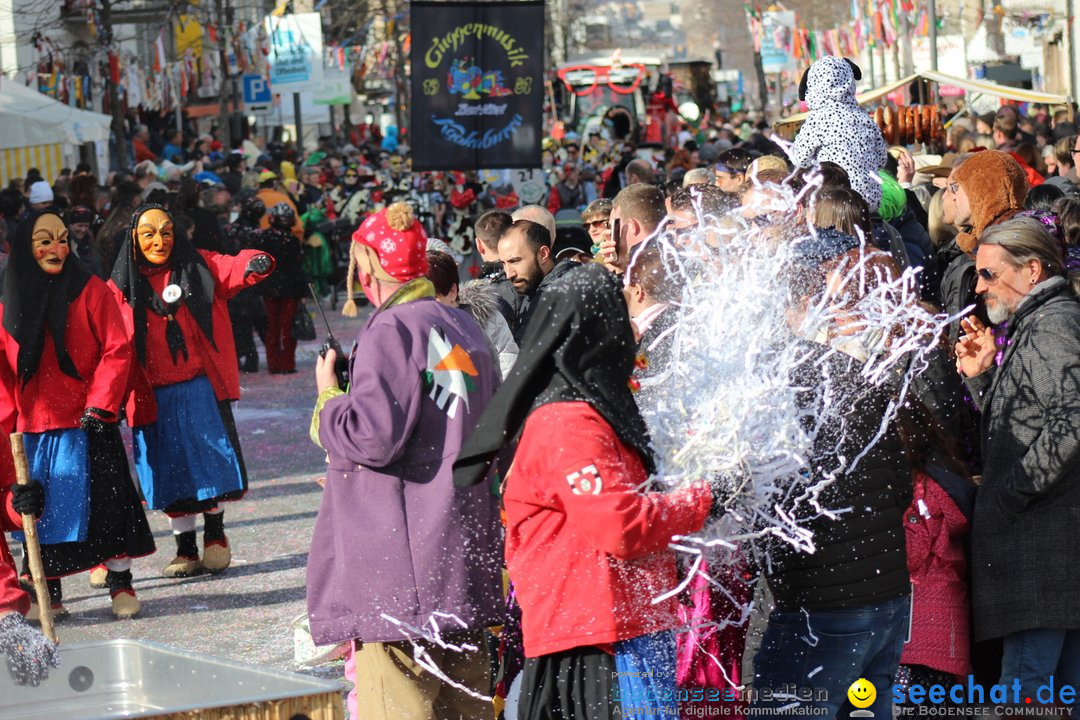 Fasnetsumzug - Fasching: Kreuzlingen am Bodensee, 24.02.2019