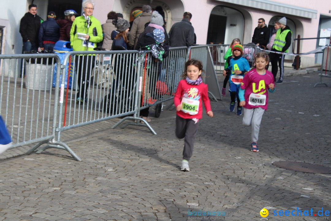 Reusslauf: Bremgarten - Schweiz, 23.02.2019