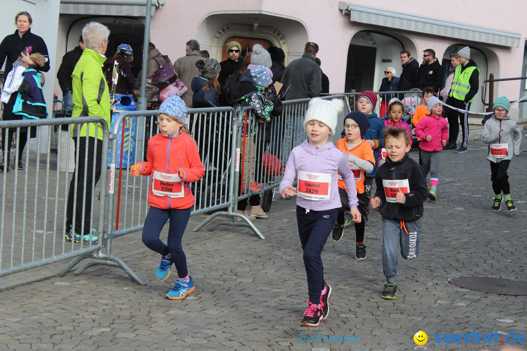 Reusslauf: Bremgarten - Schweiz, 23.02.2019