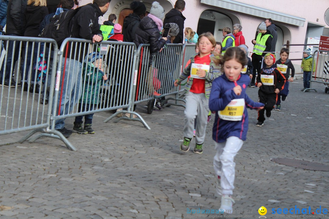 Reusslauf: Bremgarten - Schweiz, 23.02.2019