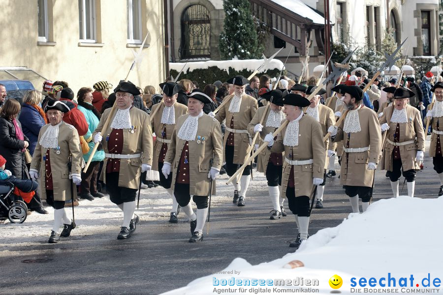 Narrenumzug: Villingen, 16.02.2010