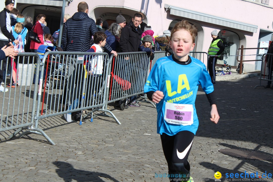 Reusslauf: Bremgarten - Schweiz, 23.02.2019