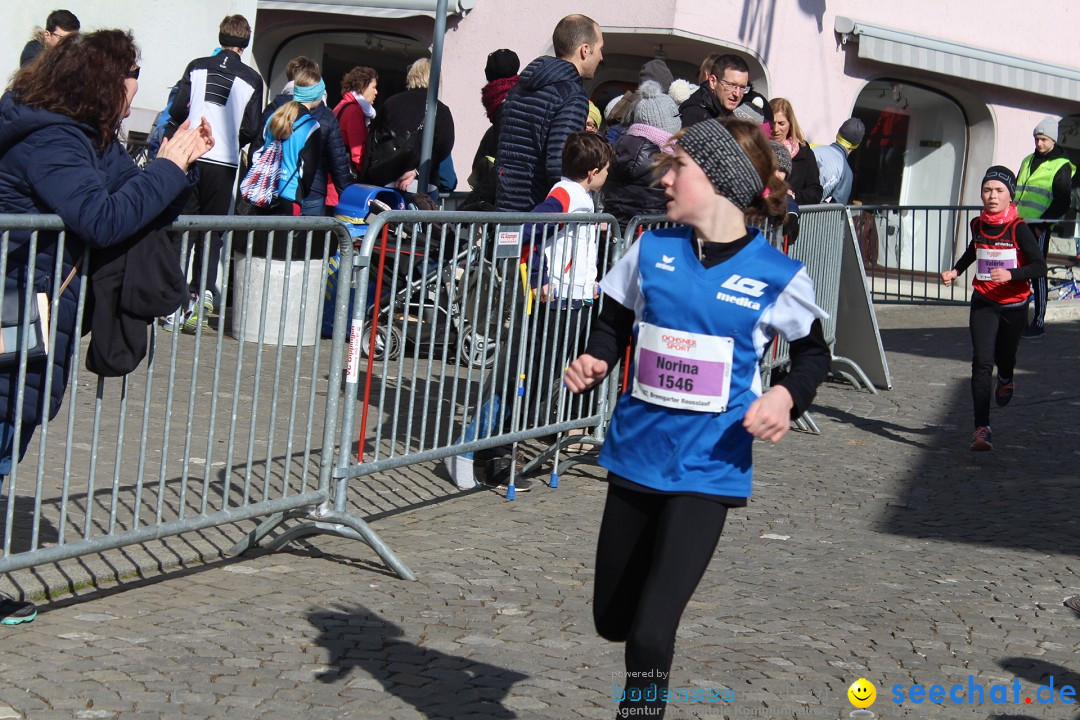 Reusslauf: Bremgarten - Schweiz, 23.02.2019