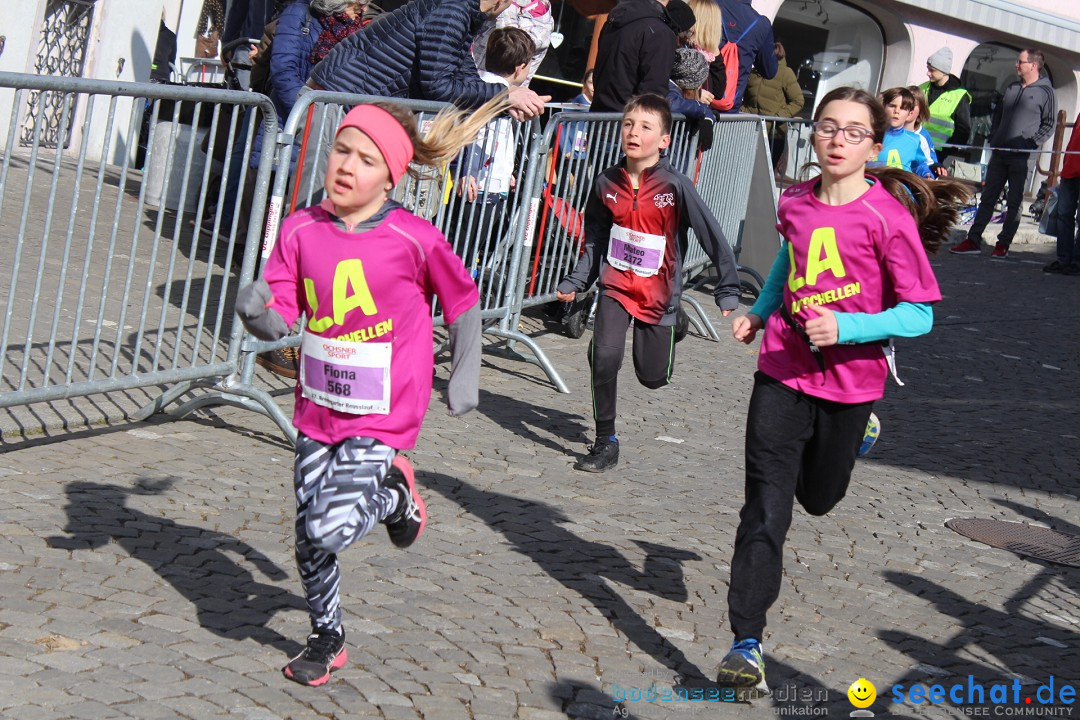 Reusslauf: Bremgarten - Schweiz, 23.02.2019