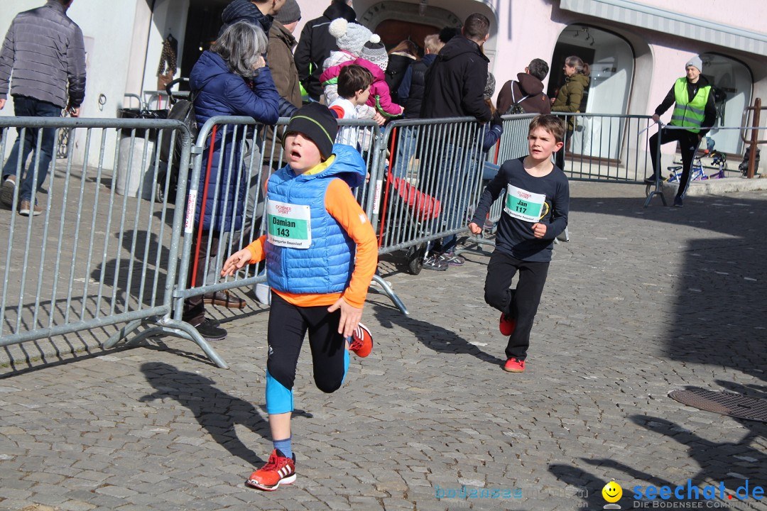 Reusslauf: Bremgarten - Schweiz, 23.02.2019