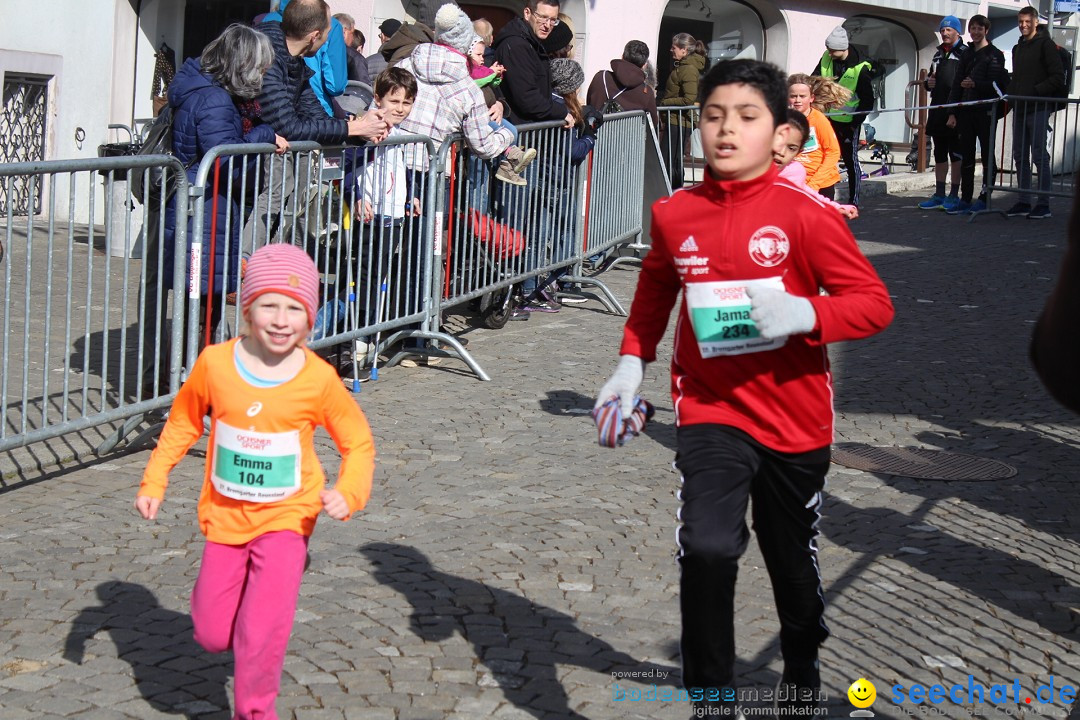 Reusslauf: Bremgarten - Schweiz, 23.02.2019