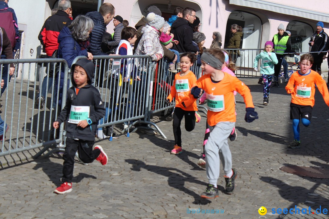 Reusslauf: Bremgarten - Schweiz, 23.02.2019