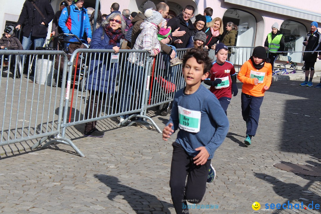 Reusslauf: Bremgarten - Schweiz, 23.02.2019