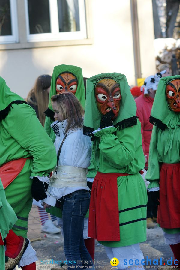 Narrenumzug: Villingen, 16.02.2010