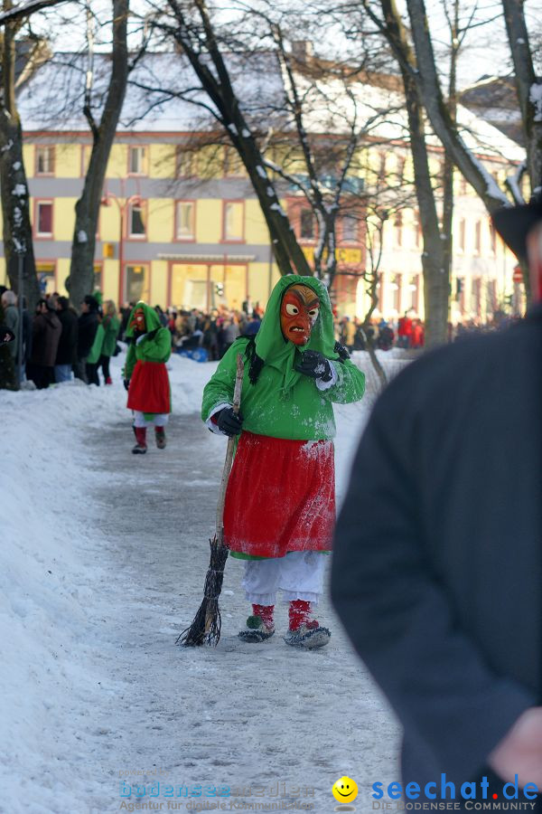 Narrenumzug: Villingen, 16.02.2010