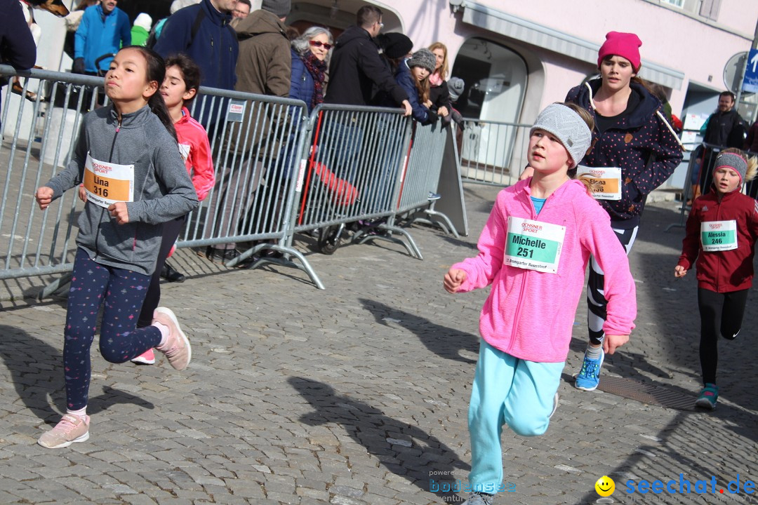 Reusslauf: Bremgarten - Schweiz, 23.02.2019