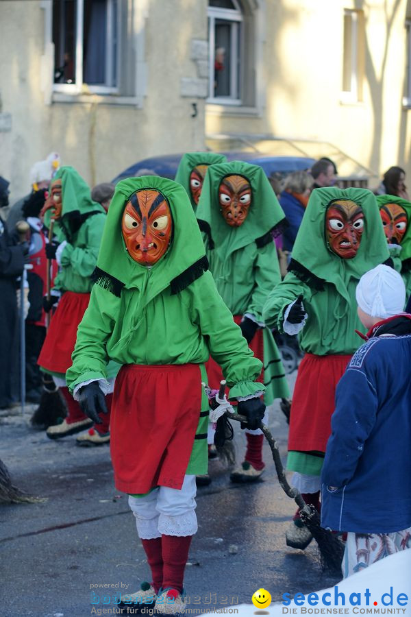 Narrenumzug: Villingen, 16.02.2010