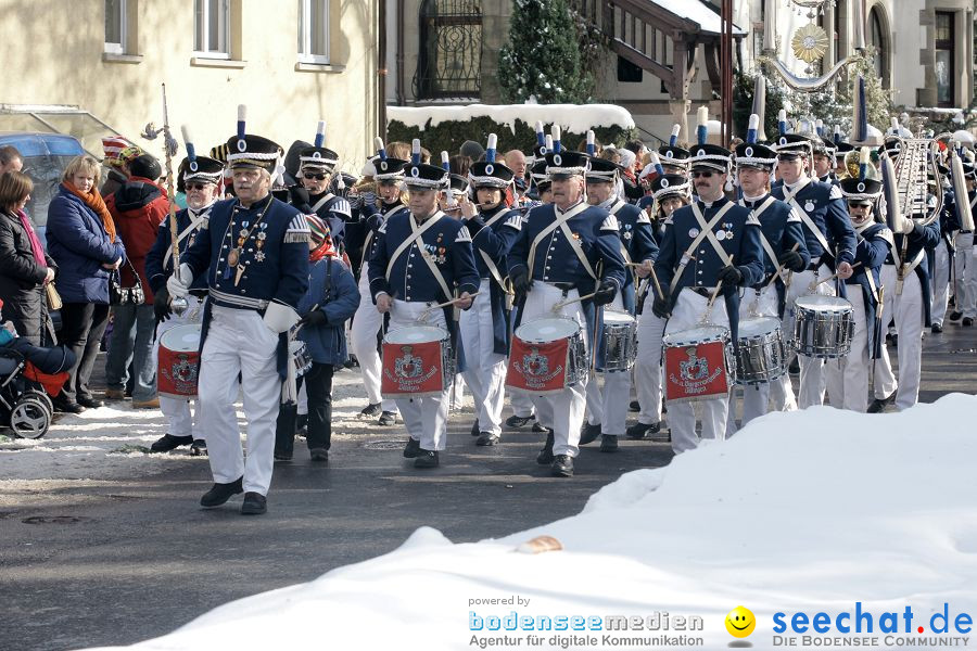 Narrenumzug: Villingen, 16.02.2010