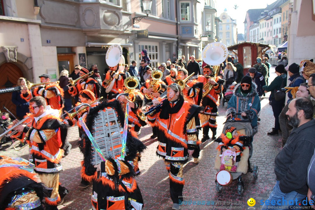 Fasnachtsumzug: Schaffhausen - Schweiz, 23.02.2019