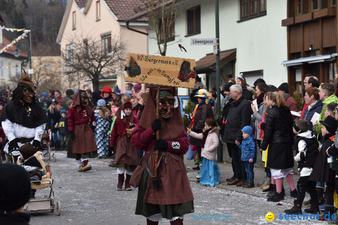 Jubilaeumsumzug - 60 Jahre Zeller Katz: Eberhardszell, 24.02.2019