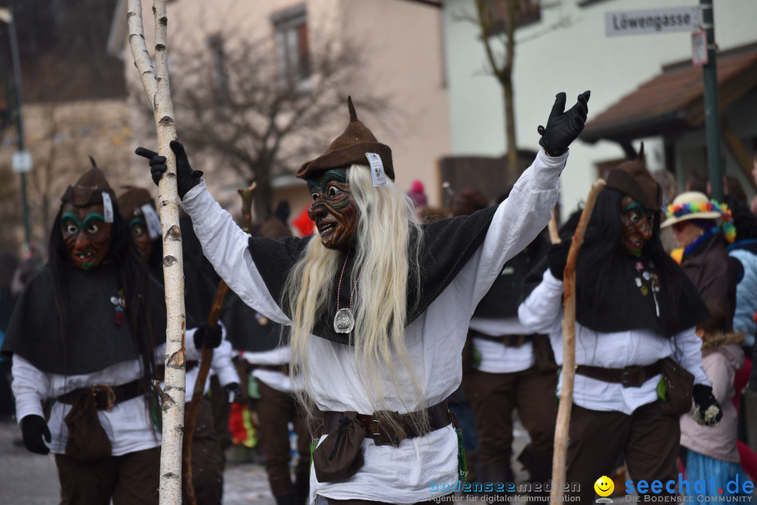 Jubilaeumsumzug - 60 Jahre Zeller Katz: Eberhardszell, 24.02.2019