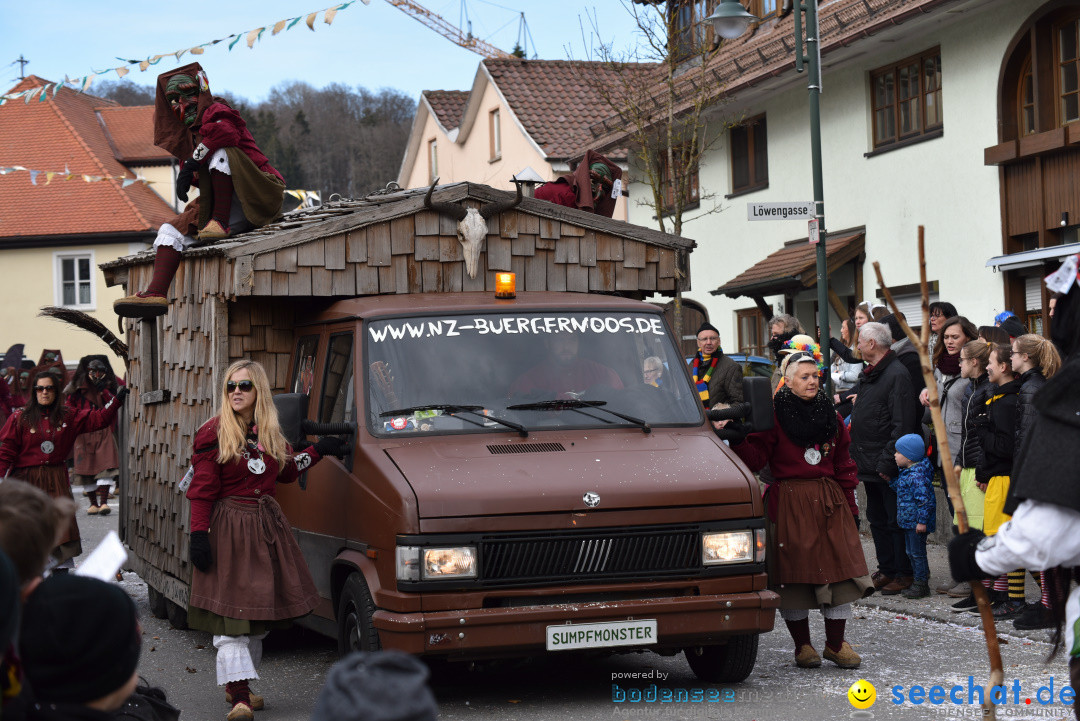 Jubilaeumsumzug - 60 Jahre Zeller Katz: Eberhardszell, 24.02.2019